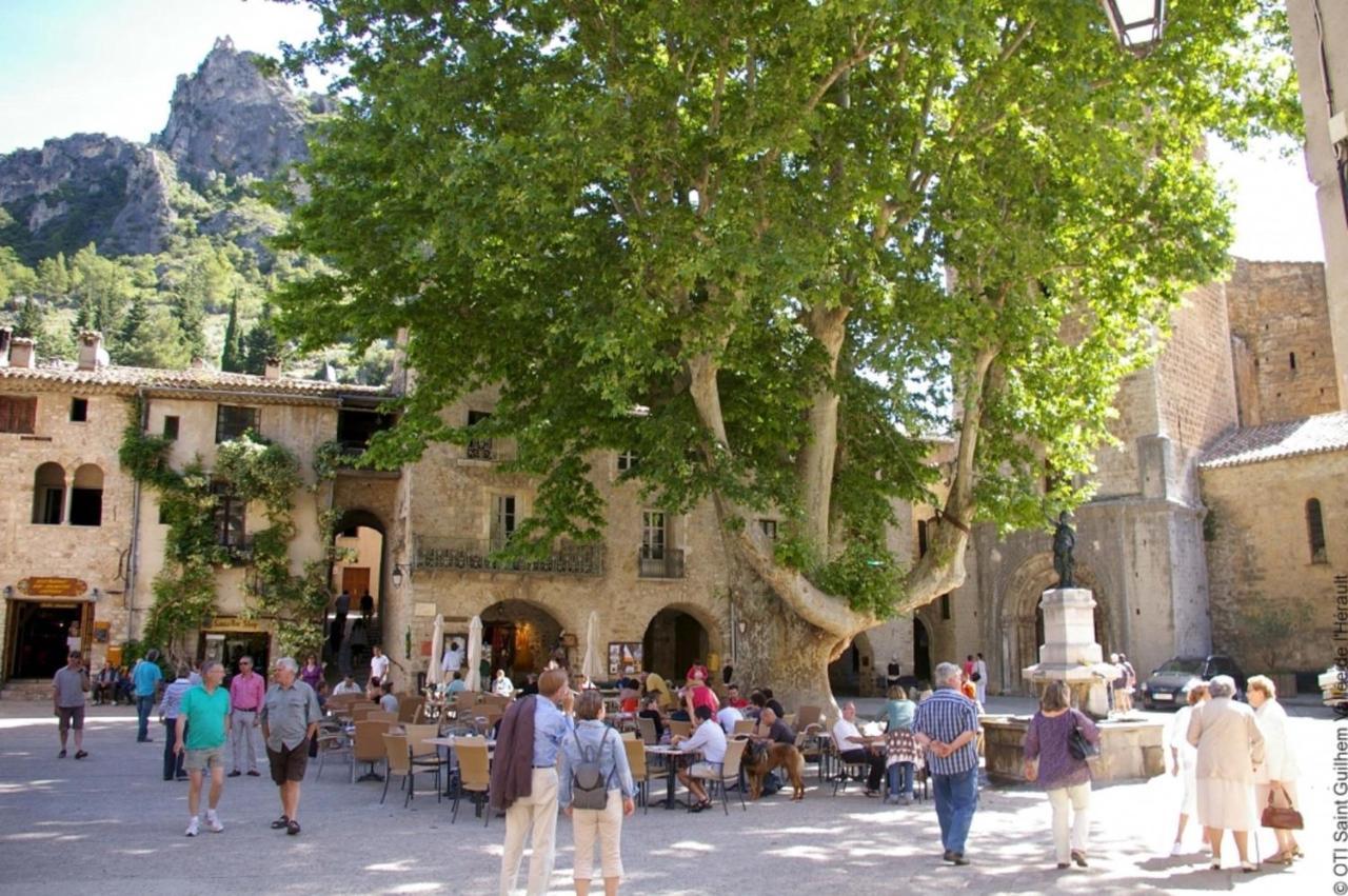 "Le Patio"-Meuble De Tourisme 3 Etoiles -Residence "Les Logis De Beziers"-Garage Optionnel-Coeur De Ville-Plages A 16Km ! ภายนอก รูปภาพ